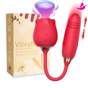 Vibrador Sexual com Sugador de Clitóris e Bullet Vai Vem - Rosa X