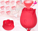 Vibrador Sexual com Sugador de Clitóris e Bullet Vai Vem - Rosa X