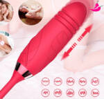 Vibrador Sexual com Sugador de Clitóris e Bullet Vai Vem - Rosa X