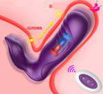 Vibrador Vai-Vem e Estimulação Clitoriana com Controle Remoto