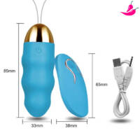 Vibrador Feminino Bullet Egg com Controle Remoto a Distância