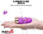 Vibrador Feminino Bullet Egg com Controle Remoto a Distância
