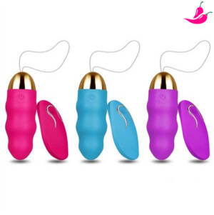 Vibrador Feminino Bullet Egg com Controle Remoto a Distância