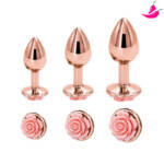 Kit Plug Anal Joia Elegante - Iniciante ao Avançado