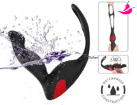 Massageador de Próstata Recarregável com Controle - Langer- RCT S Hande