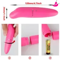 Mini Vibrador Bullet Feminino Golfinho Estimulador de Ponto G