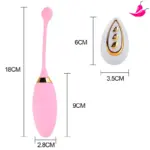 Vibrador Interno e Clitoriano com Controle Remoto - LiveBetter