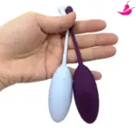 Vibrador Ovinho Bullet com Controle Remoto e 12 Níveis de Vibrações - DanX