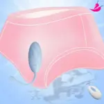 Vibrador Ovinho Bullet com Controle Remoto e 12 Níveis de Vibrações - DanX