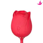 Vibrador Sexual com Sugador de Clitóris e Bullet Vai Vem - Rose X