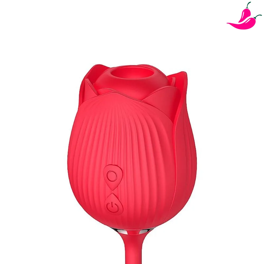 vibrador-sexual-com-sugador-de-clitoris-e-bullet-vai-vem-rose-x-2_03