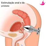 Plug Anal com Controle Remoto a Distância e 10 níveis de Vibrações
