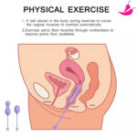 Pompoarismo 3 em 1 com controle