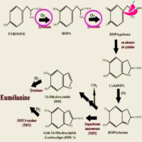 Clareador de Virilha/Anal – Pedra Natural de Fricção Oxidante