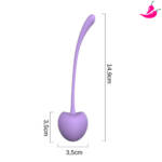 Kit Maçãs Pompoarismo