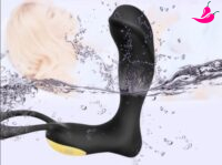 Vibrador Estimulador de Próstata com Controle Remoto - ProctPlus