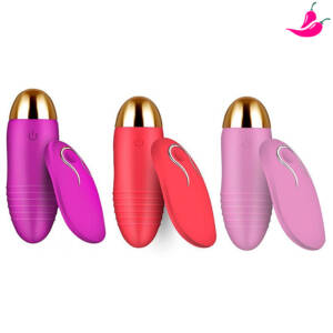 Vibrador Feminino Bullet com Controle à Distância