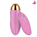 Vibrador Feminino Bullet com Controle à Distância
