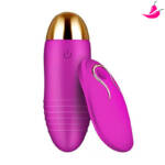 Vibrador Feminino Bullet com Controle à Distância