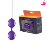 BenWa Bolinha - Bolas de Pompoarismo