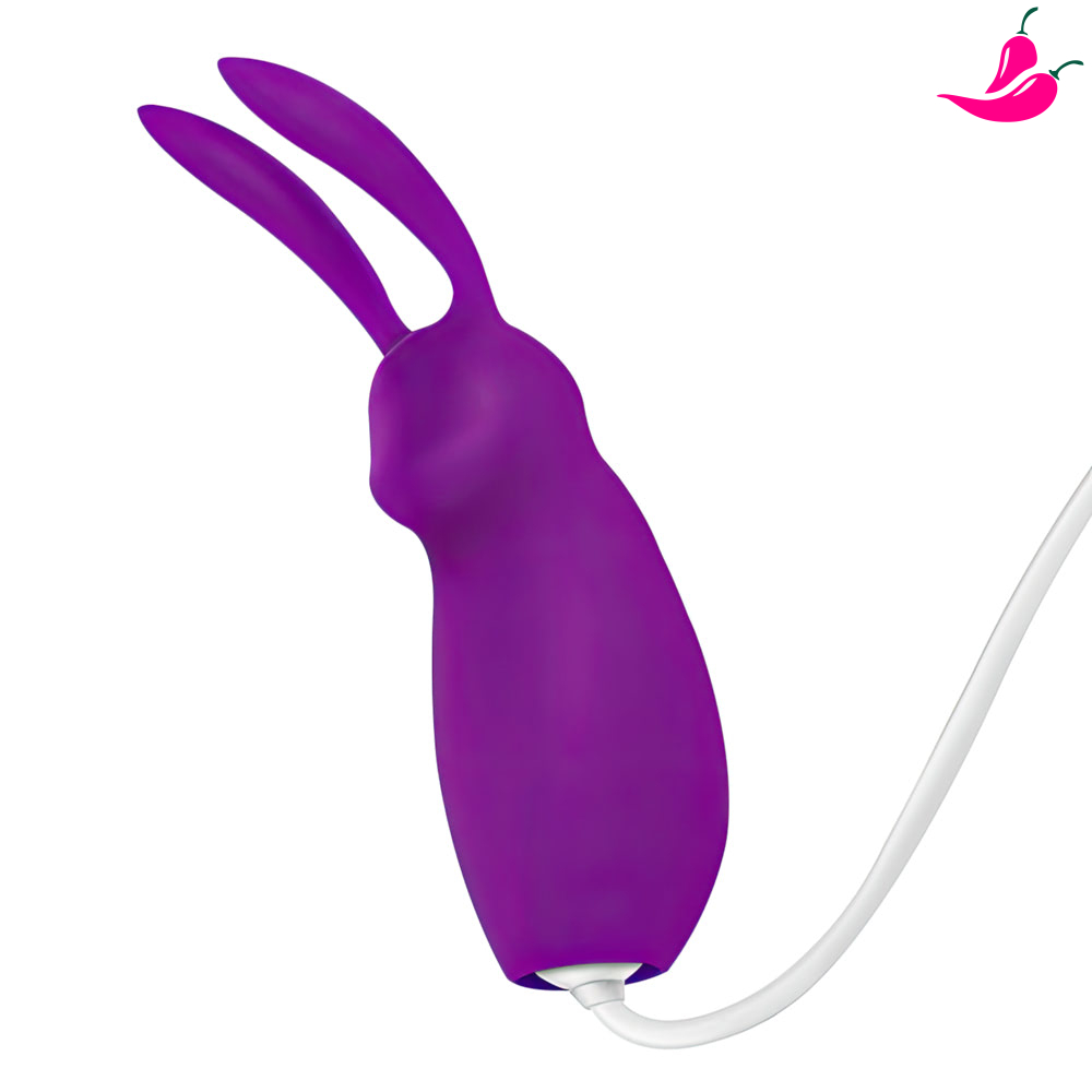 CB031-ROXO-02