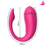 Vibrador de Casal à Longa Distância - YOUVIBE