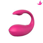 Vibrador de Casal à Longa Distância - YOUVIBE