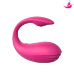 Vibrador de Casal à Longa Distância - YOUVIBE