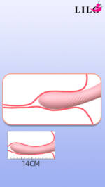 Vibrador Ponto G - 10 modos de vibração