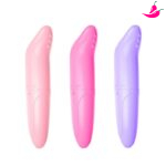 Vibrador Ponto G - Formado de Golfinho