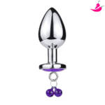 Plug Anal de Metal com Guia -