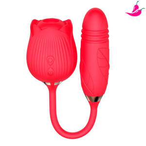 Vibrador com Sucção e Bullet Vai e Vem