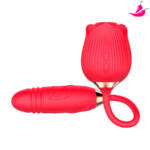 Vibrador com Sucção e Bullet Vai e Vem