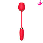 Vibrador com Sucção e Bullet Vai e Vem