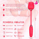 Vibrador com Sucção e Bullet Vai e Vem