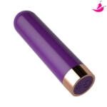 Vibrador Clitoriano Recarregável