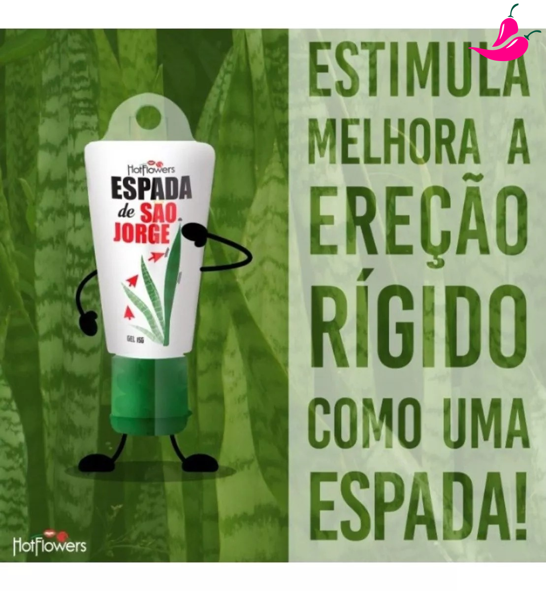 saojorge_01