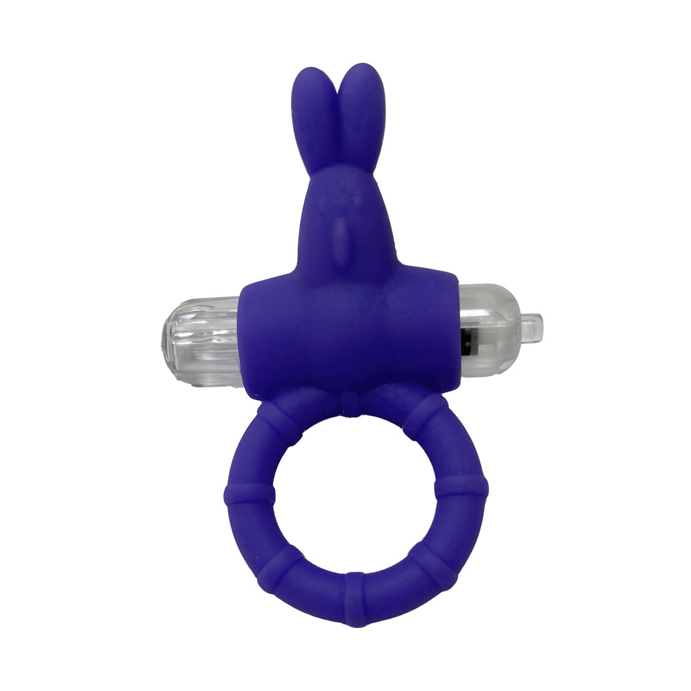 AN010-ROXO-01