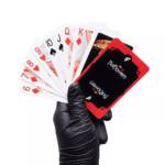 Baralho Kama Sutra Cards – Um Jogo para Apimentar Qualquer Relação