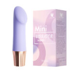 Mini Vibrador Recarregável com 10 Modos de Vibração – YOUVIBE