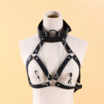 Kit de Bondage - Coleira, Mordaça e Prendedor de Mamilos - YOUVIBE