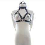 Kit de Bondage - Coleira, Mordaça e Prendedor de Mamilos - YOUVIBE