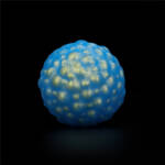 Bolas para Pompoar – Ocean’s Toner