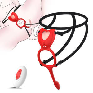 Cinta Vibratória 2 em 1 com Estimulador Anal e Controle Remoto – Janice