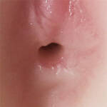 Masturbador Realístico Formato de Bunda Vagina e Ânus – Crazy Lion