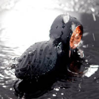 Plug Anal em Silicone com 9 Modos de Vibração e Rotação com Controle Remoto Sem Fio