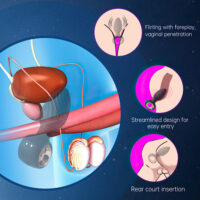 Plug Anal em Silicone com 9 Modos de Vibração e Rotação com Controle Remoto Sem Fio