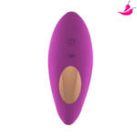 Kit Absolut Prazer – Vibrador Absolut + Higienizador