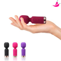 Kit Explora & Sente – Varinha Mágica, Plug Anal, Bolinhas e Gel Lis-In