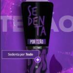 Kit Sedenta Total – Excitantes + Vibradores + Plug Anal + Necessaire